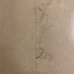 Hair in shower not mine Hair in shower not mine