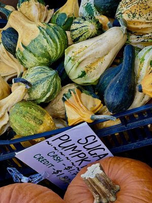 Grand Army Plaza Greenmarket by null