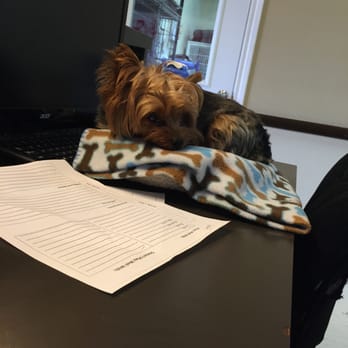 Tomball Pet Resort Louetta - Nap time for Kippers! Tired from Day Care! - Pet Groomers Near Me - Spring, Texas