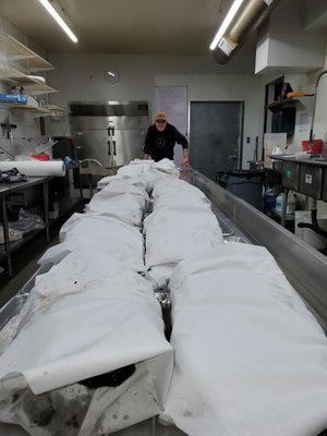 Buckshot Honey by null