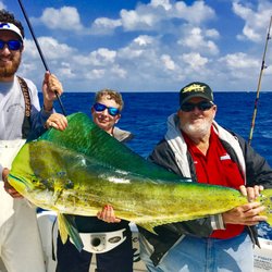 Bouncer's Dusky 33 - Mahi