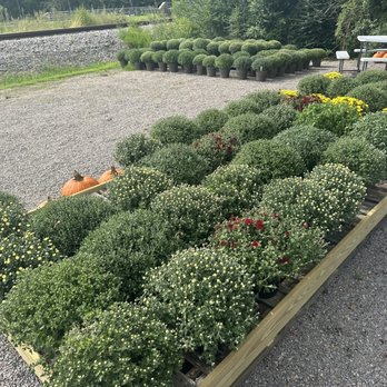 Moyock Farm Market - Farmers Market Near Me - Moyock, North Carolina