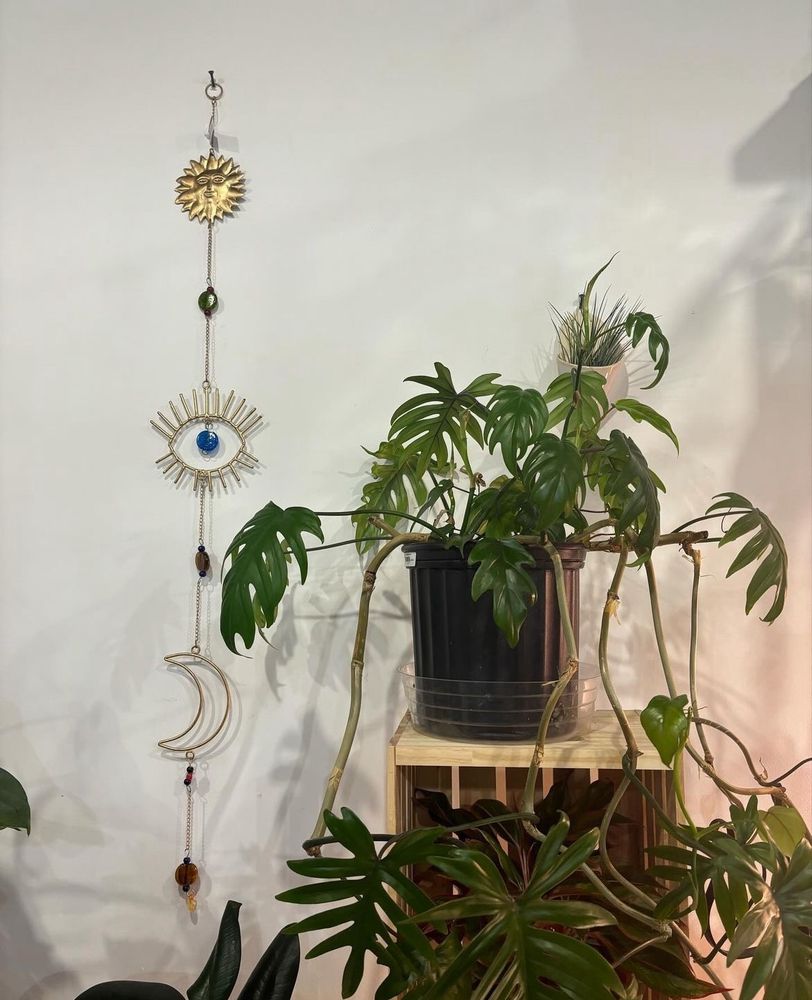 Roots Plant Exchange