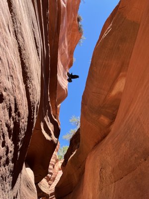 Dreamland Safari Tours by null