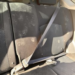 Anytime Auto Repair - Cat prints and hair all around the vehicle. But besides the point, this is not how one should expect to get their vehicle back.