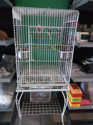 Pete’s Pet Supply by null