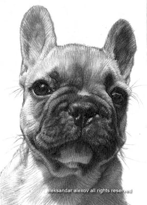 The Art Students League of New York by null