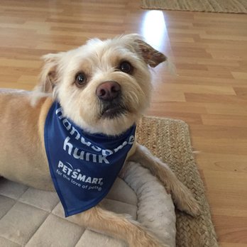 PetSmart - Thank you Alicia! - Pet Stores Near Me - Fremont, California