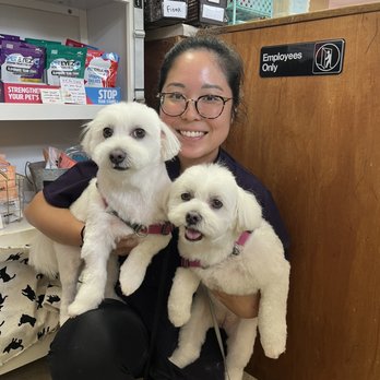 Lokahi Dog Grooming - Astrid and Peik Lin with Chika their groomer - Pet Groomers Near Me - Honolulu, Hawaii Lokahi Dog Grooming - Astrid and Peik Lin with Chika their groomer - Pet Groomers Near Me - Honolulu, Hawaii
