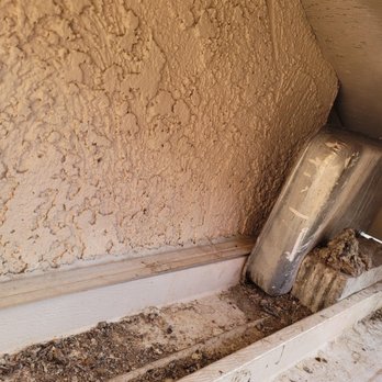 Mitchell Pest Solutions - Pest Control Near Me
