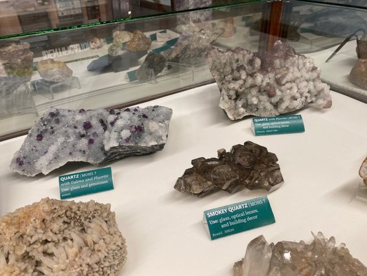 Hastings Museum by null