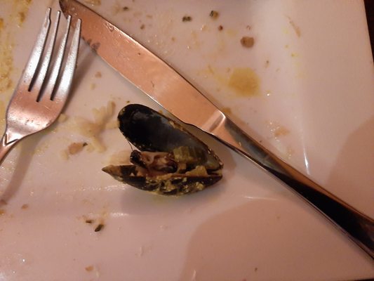 Christinas on the Danforth by null