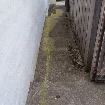 Alpha & Omega Details Cleaner - Pressure washer - Pressure Washers Near Me - Marina, California Alpha & Omega Details Cleaner - Pressure washer - Pressure Washers Near Me - Marina, California