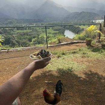 Nourish Hanalei - Açaí - Acai Bowls Near Me - Hanalei, Hawaii Nourish Hanalei - Açaí - Acai Bowls Near Me - Hanalei, Hawaii