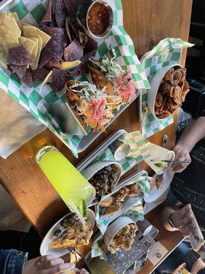 Zanzi Oakland by null