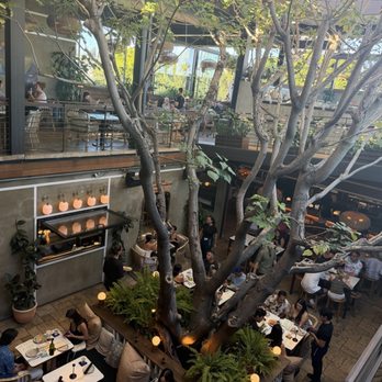 Mirate - Beautiful restaurant - Mexican Near Me - Los Angeles, California Mirate - Beautiful restaurant - Mexican Near Me - Los Angeles, California