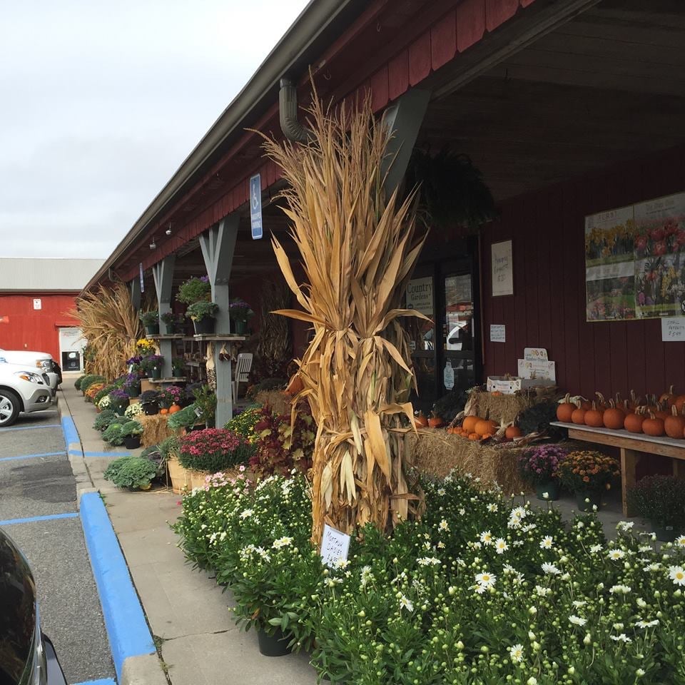 AGWAY Updated September 2024 125 Snake Hollow Rd, Bridgehampton