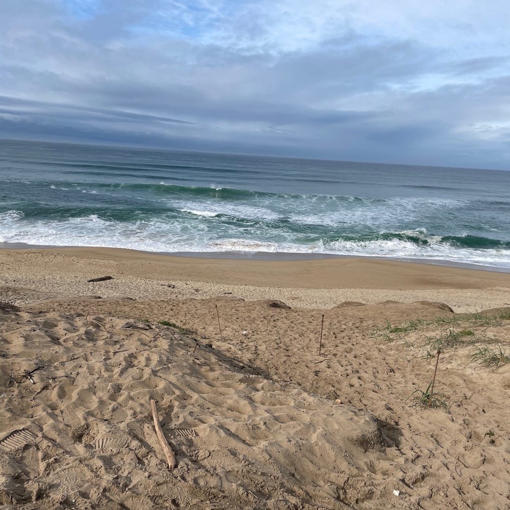 Marina State Beach - Beautiful long Sandy beach, great for surfers, fishers - Beaches Near Me - Marina, California Marina State Beach - Beautiful long Sandy beach, great for surfers, fishers - Beaches Near Me - Marina, California