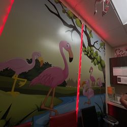 Amar Siddique, MD - Clovis Pediatric Group - The flamingo room