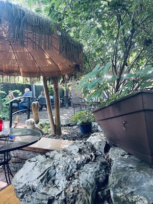 Blue Moon Cafe by null