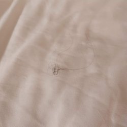 Hair in clean? Bed