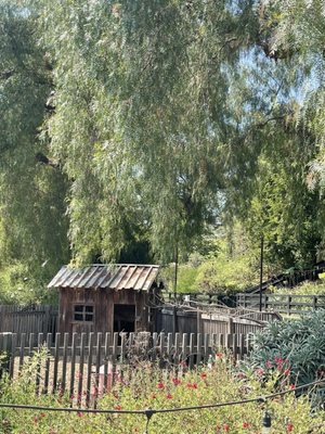 Apricot Lane Farms by null