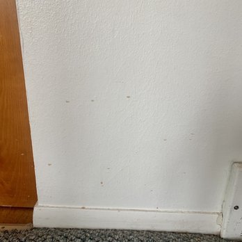 SpeedyCleans - Spots on the walls that were pointed out prior to starting the clean - Home Cleaning Near Me - Brighton, Michigan SpeedyCleans - Spots on the walls that were pointed out prior to starting the clean - Home Cleaning Near Me - Brighton, Michigan