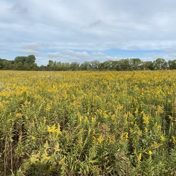 DeVine Preserve - Large open field of wildflowers - Parks Near Me - Ann Arbor, Michigan DeVine Preserve - Large open field of wildflowers - Parks Near Me - Ann Arbor, Michigan