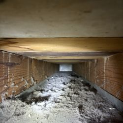 Ducts R Us - Dog hair and dust in ducts
