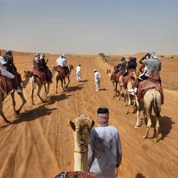 Travel Well Concierge - Desert Safari, Dubai