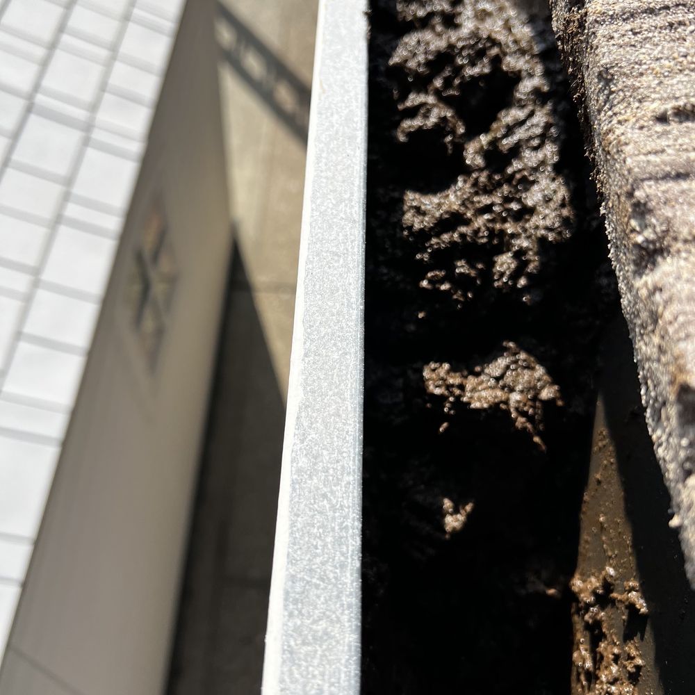 Gilbert The Gutter Guy - Before - Gutter Services Near Me