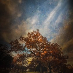 Oak Hill Cemetery - The late afternoon on a crisp Autumn day