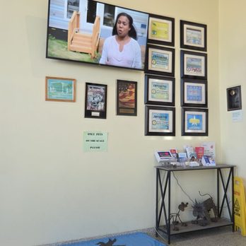 Beaches Animal Clinic - Highly rated in the community - Veterinarians Near Me - Jacksonville Beach, Florida Beaches Animal Clinic - Highly rated in the community - Veterinarians Near Me - Jacksonville Beach, Florida