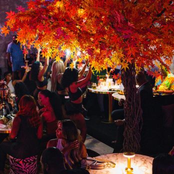 Maya Lounge - VIP Bottle Service for your special events. - Lounges Near Me - Houston, Texas Maya Lounge - VIP Bottle Service for your special events. - Lounges Near Me - Houston, Texas