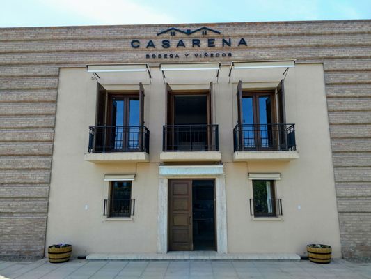 Casarena Bodega y Viñedos by null