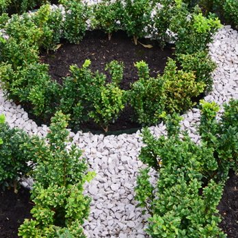 Mulch & More - a garden with a circular design - Landscaping Near Me - Malvern, Pennsylvania Mulch & More - a garden with a circular design - Landscaping Near Me - Malvern, Pennsylvania