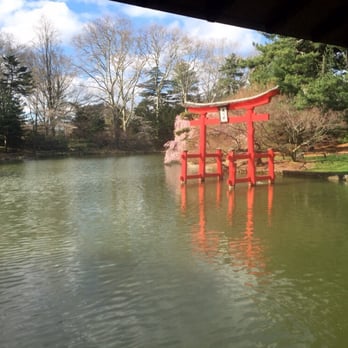 Brooklyn Botanic Garden - Japanese Garden Pond - Botanical Gardens Near Me - Brooklyn, New York