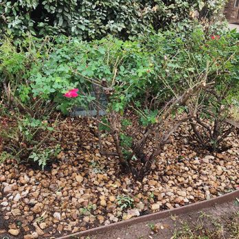 Perfection Landscape - Landscaping Near Me Perfection Landscape - Landscaping Near Me