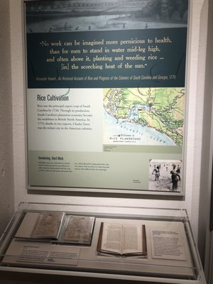 South Carolina Historical Society by null