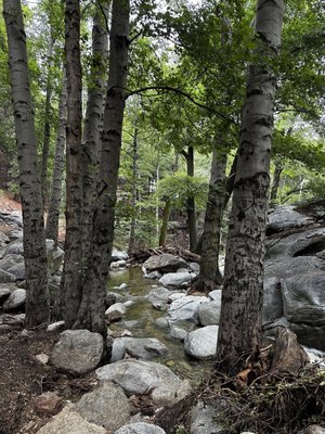 Heart Rock Trail by null