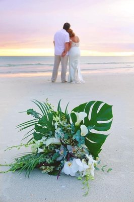 Tropical Beach Resorts by null