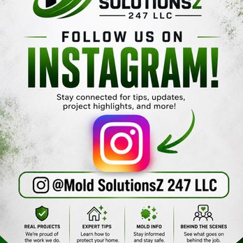 Mold Solutionz 24/7 - Environmental Abatement Near Me Mold Solutionz 24/7 - Environmental Abatement Near Me