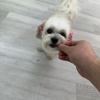 Furry Friends - Pet Stores Near Me - Queens, New York Furry Friends - Pet Stores Near Me - Queens, New York