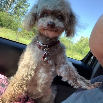 the bath house pet salon