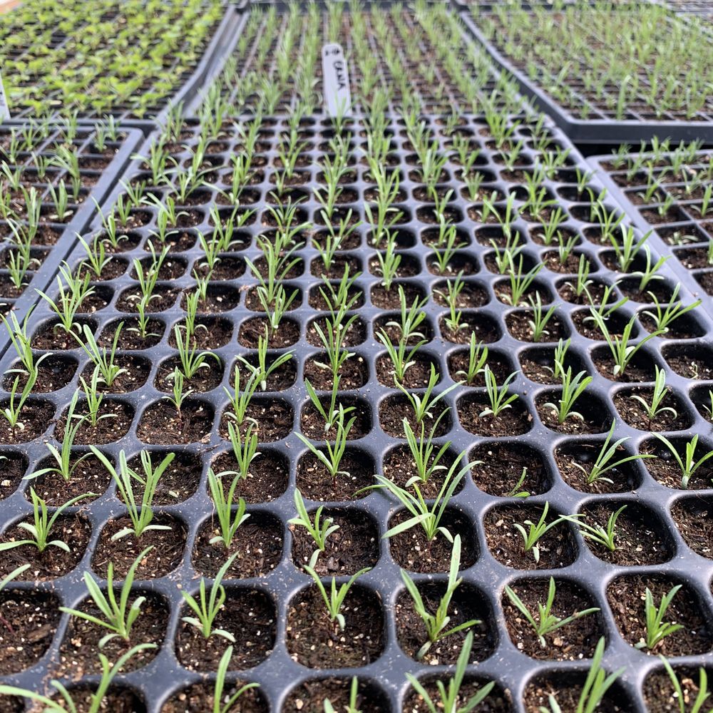 WINTERCREEK NURSERY Updated September 2024 10 Photos & 12 Reviews 63405 Deschutes Market