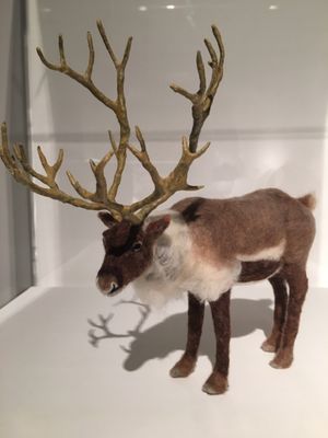 Fukuoka City Museum by null