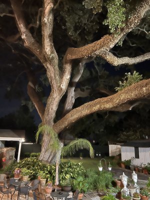 Ashton's Bed and Breakfast by null