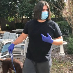 True Dog Obedience Training