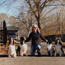 Allegiance Dog Training - Mindy and the pack