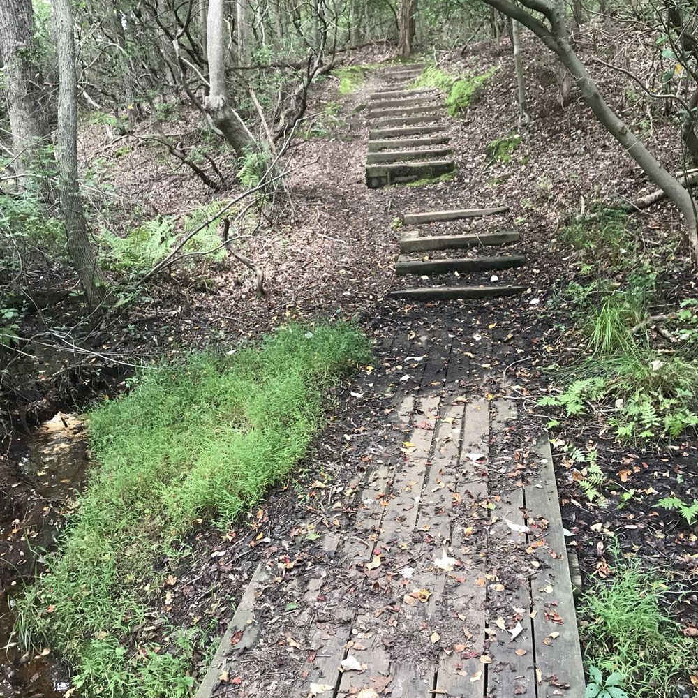 Shark River Park - Hiking trail. - Parks Near Me - Wall Township, New Jersey Shark River Park - Hiking trail. - Parks Near Me - Wall Township, New Jersey